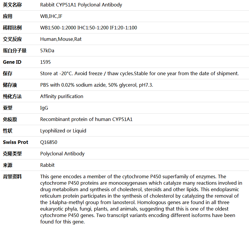 CYP51A1 Antibody,索莱宝,K004391P-50ul