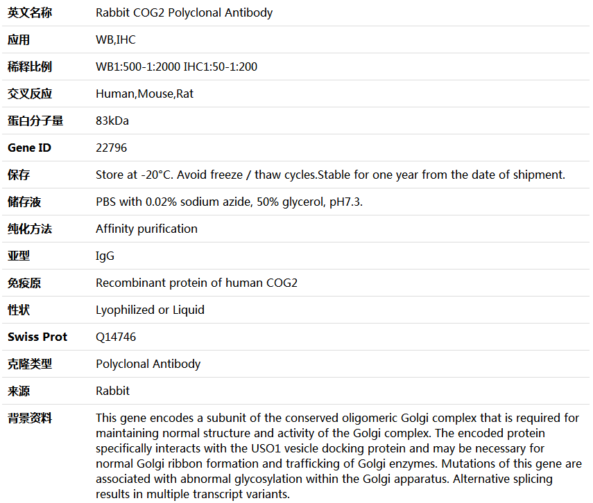 COG2 Antibody,索莱宝,K004390P-50ul