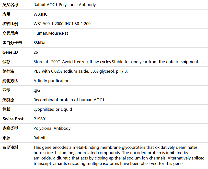 AOC1 Antibody,索莱宝,K004388P-100ul