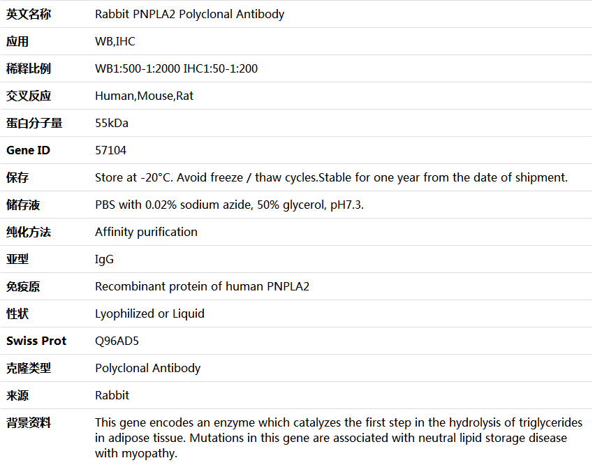PNPLA2 Antibody,索莱宝,K004384P-100ul