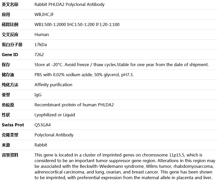 PHLDA2 Antibody,索莱宝,K004383P-100ul