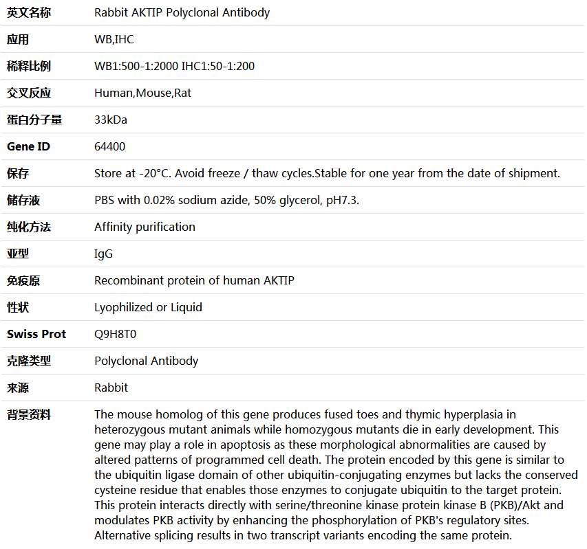 AKTIP Antibody,索莱宝,K004380P-100ul