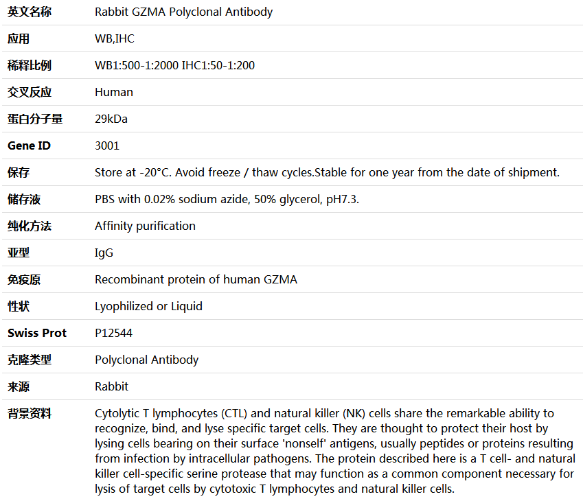GZMA Antibody,索莱宝,K004378P-50ul