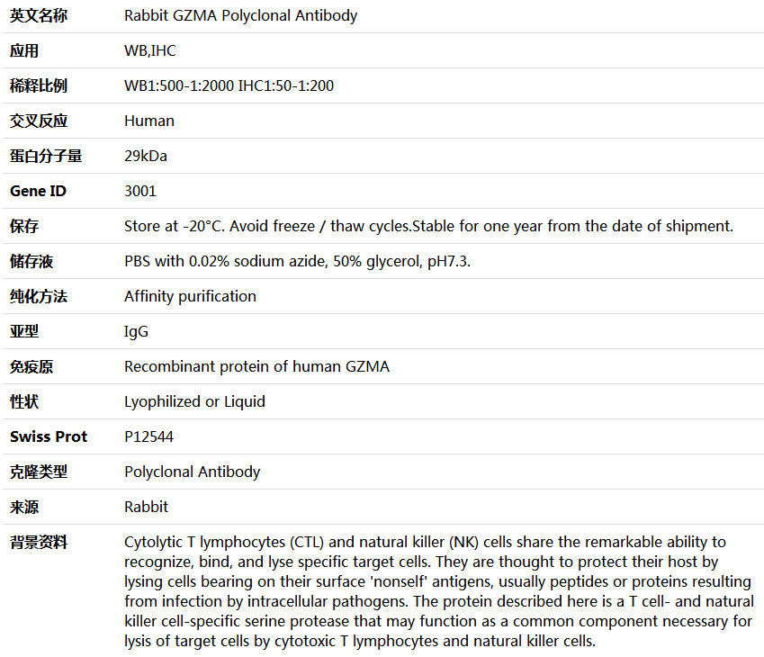 GZMA Antibody,索莱宝,K004378P-100ul