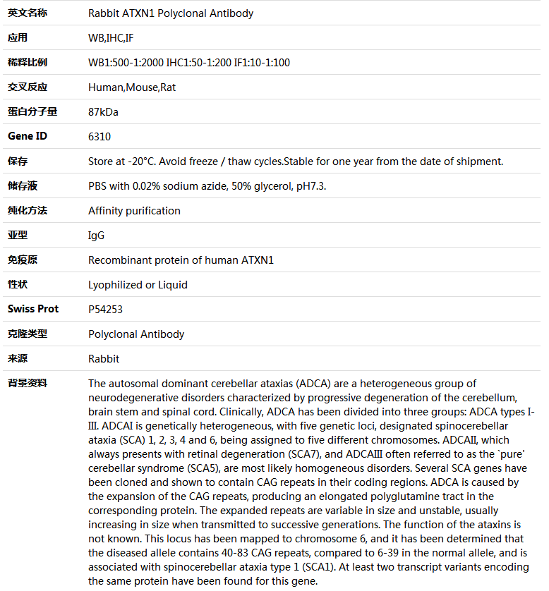 ATXN1 Antibody,索莱宝,K004371P-100ul