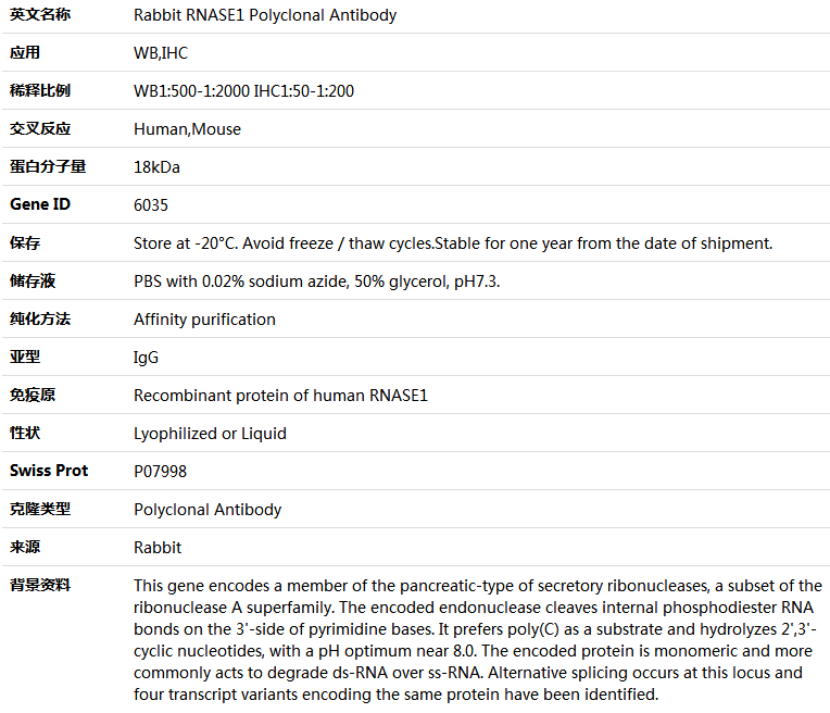 RNASE1 Antibody,索莱宝,K004365P-100ul