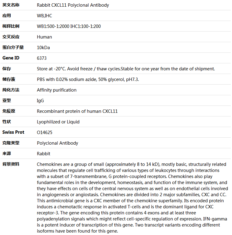 CXCL11 Antibody,索莱宝,K004364P-100ul