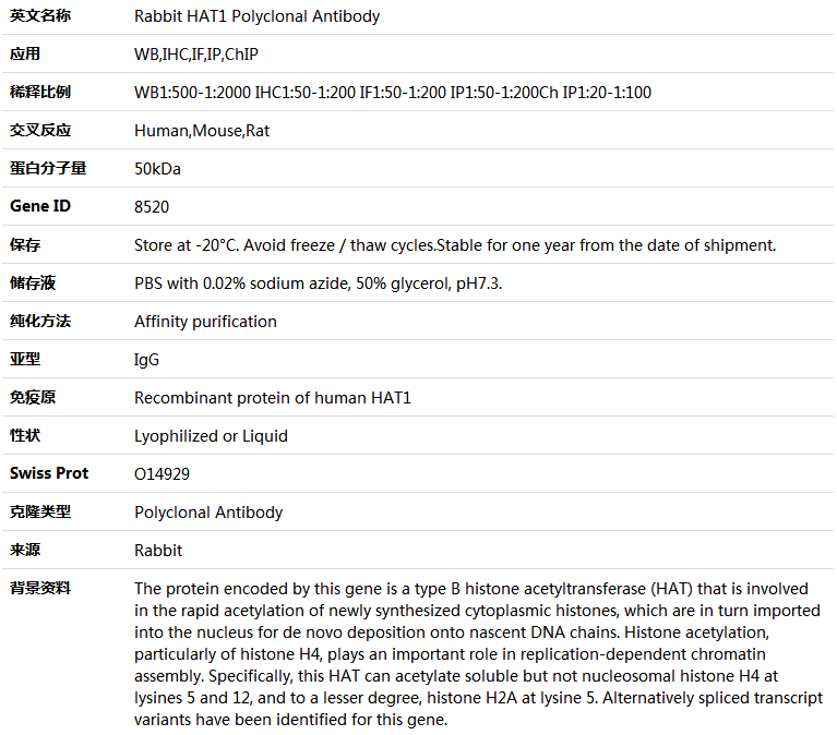 HAT1 Antibody,索莱宝,K004360P-100ul