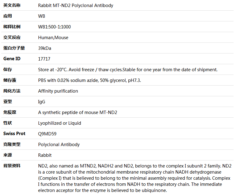 MT-ND2 Antibody,索莱宝,K004357P-100ul
