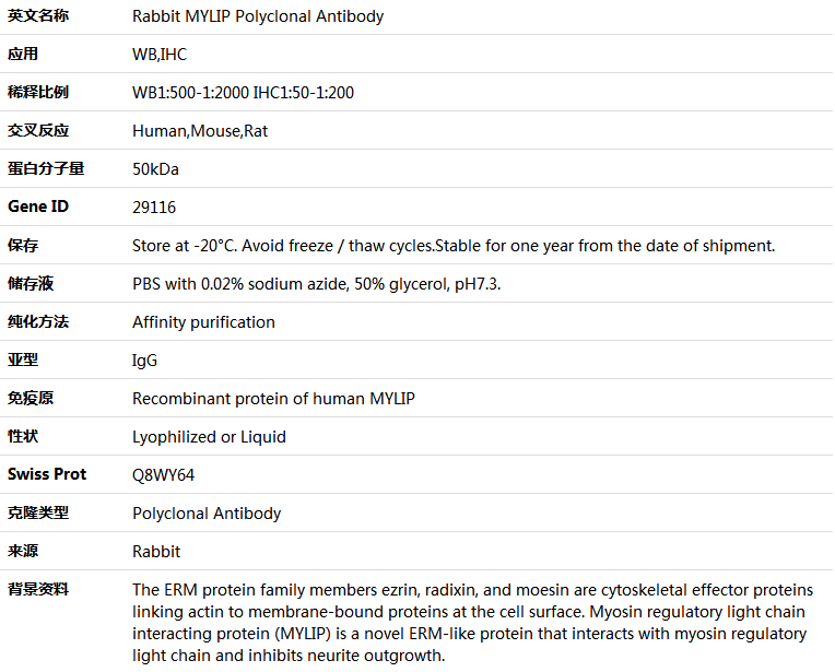 MYLIP Antibody,索莱宝,K004356P-50ul