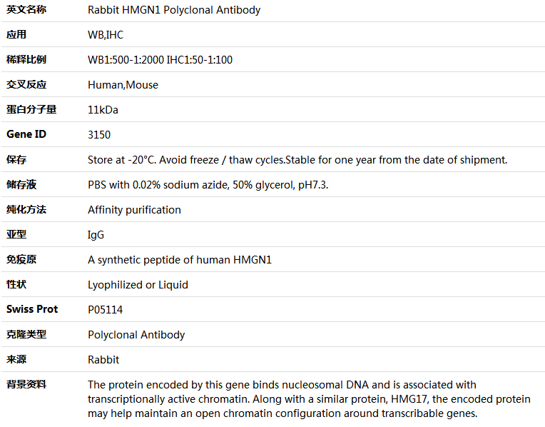 HMGN1 Antibody,索莱宝,K004351P-100ul