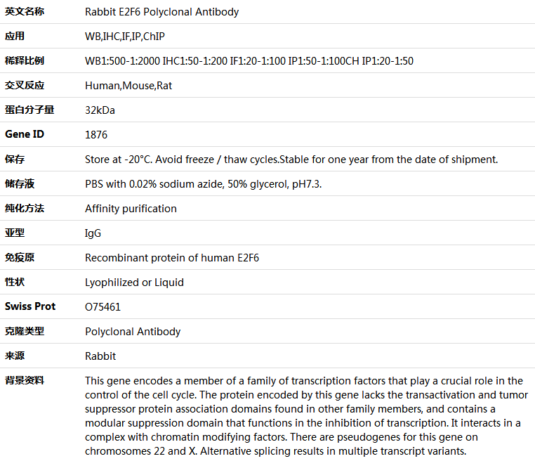 E2F6 Antibody,索莱宝,K004350P-30ul