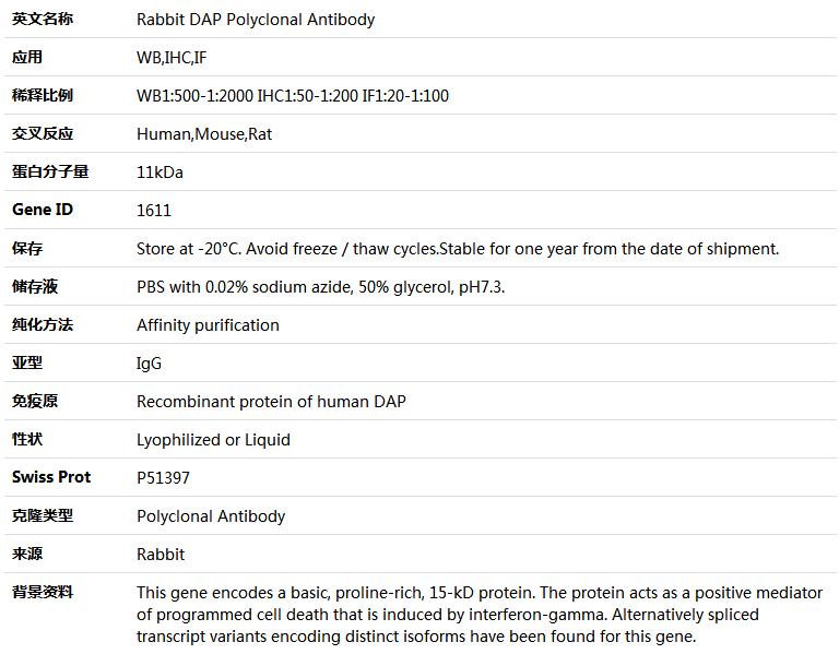 DAP Antibody,索莱宝,K004349P-100ul