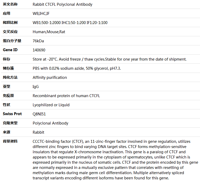 CTCFL Antibody,索莱宝,K004348P-100ul