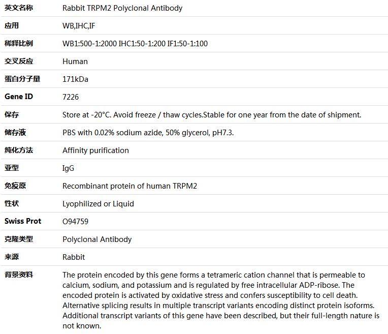 TRPM2 Antibody,索莱宝,K004342P-50ul