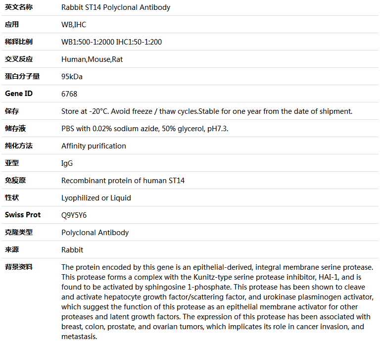 ST14 Antibody,索莱宝,K004341P-50ul