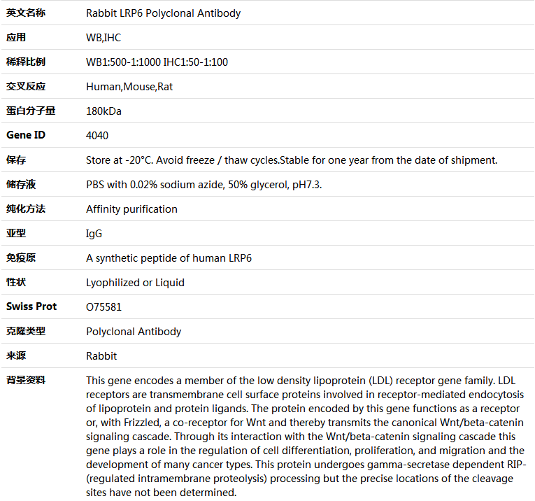 LRP6 Antibody,索莱宝,K004340P-50ul