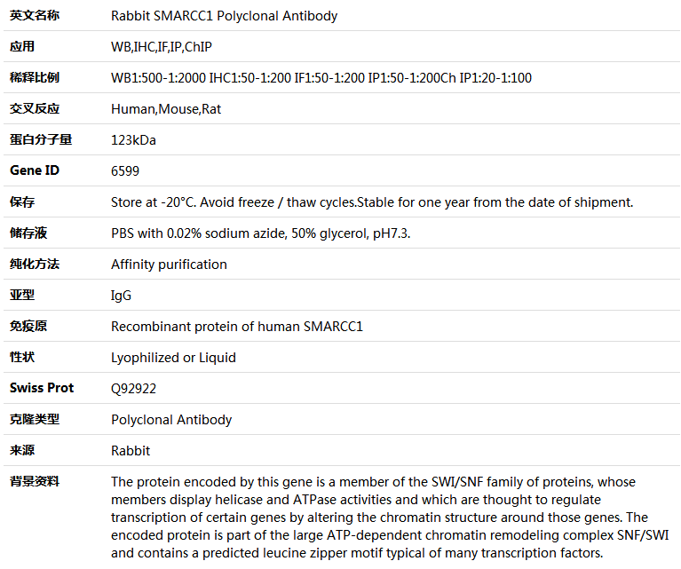 SMARCC1 Antibody,索莱宝,K004337P-50ul