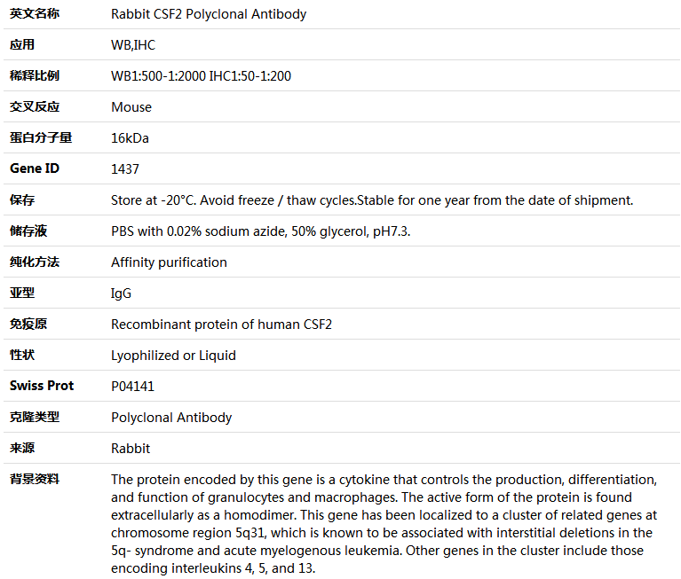 CSF2 Antibody,索莱宝,K004336P-100ul