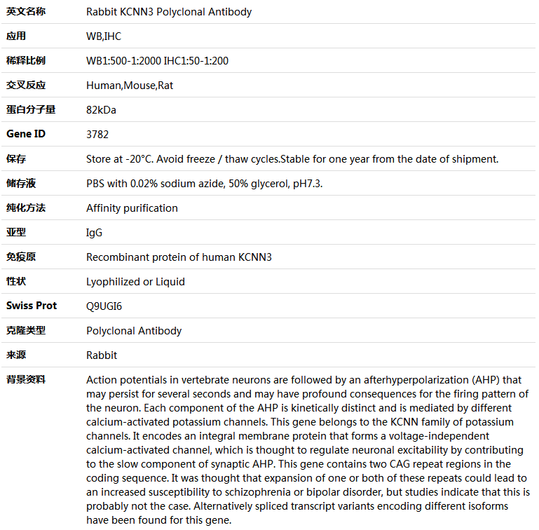 KCNN3 Antibody,索莱宝,K004334P-50ul