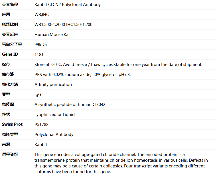 CLCN2 Antibody,索莱宝,K004332P-100ul