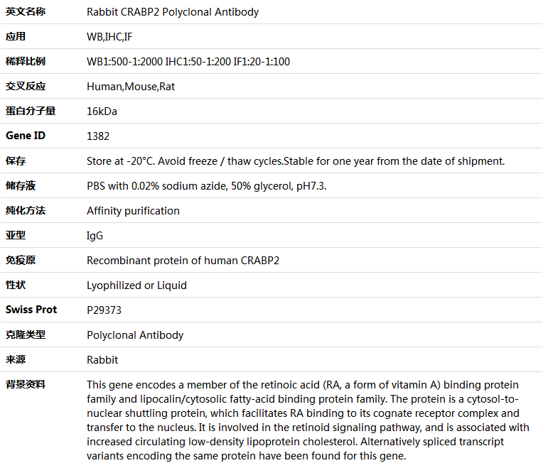 CRABP2 Antibody,索莱宝,K004331P-100ul
