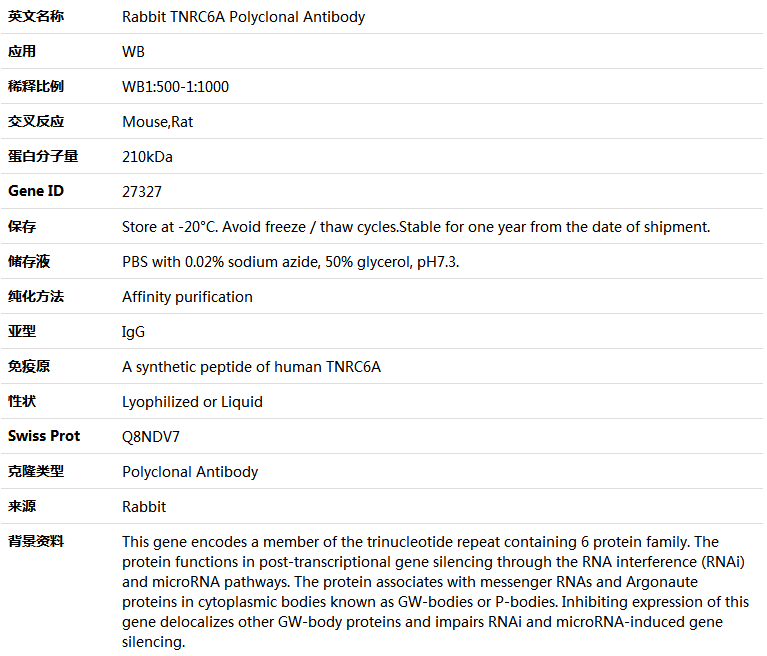 TNRC6A Antibody,索莱宝,K004330P-100ul