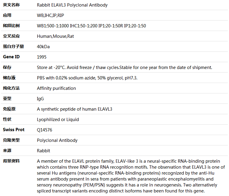ELAVL3 Antibody,索莱宝,K004328P-50ul