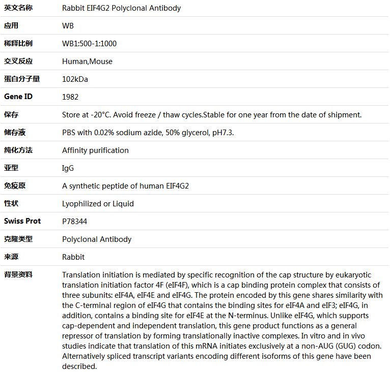 EIF4G2 Antibody,索莱宝,K004327P-100ul