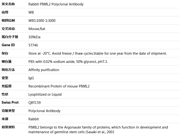 PIWIL2 Antibody,索莱宝,K004322P-100ul