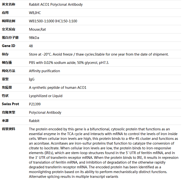 ACO1 Antibody,索莱宝,K004316P-50ul