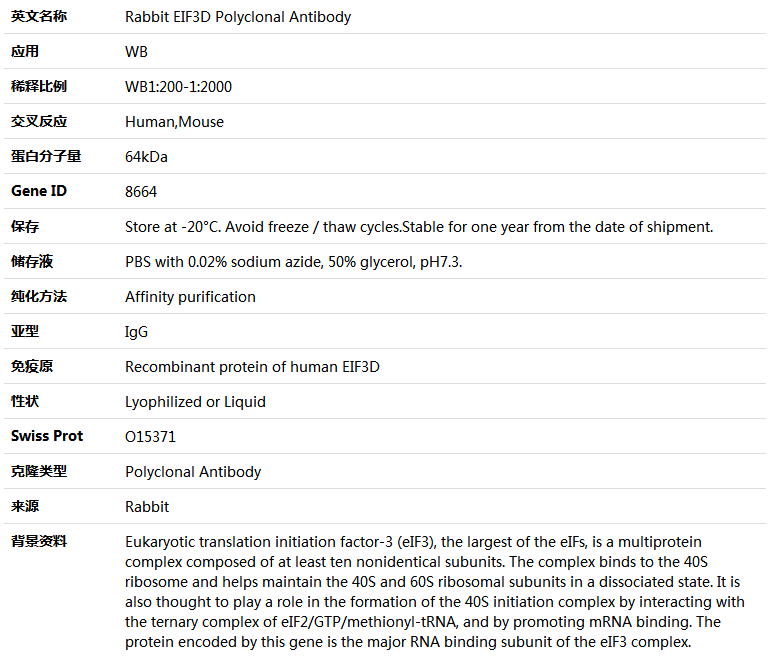 EIF3D Antibody,索莱宝,K004307P-100ul