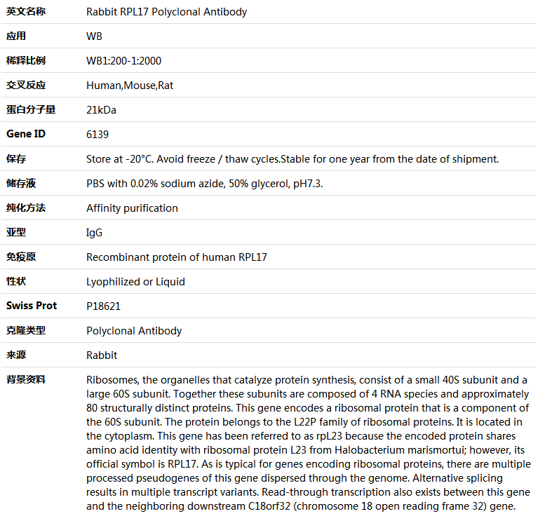 RPL17 Antibody,索莱宝,K004304P-50ul