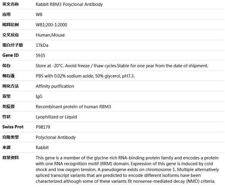 RBM3 Antibody,索莱宝,K004303P-100ul