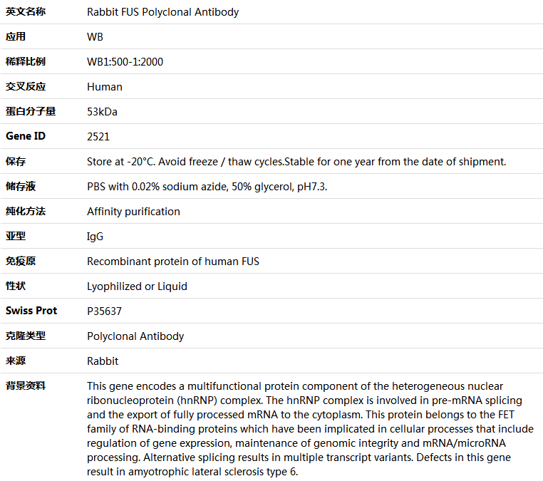 FUS Antibody,索莱宝,K004300P-50ul
