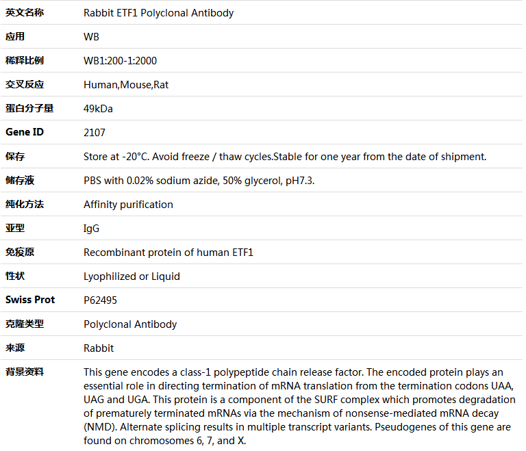 ETF1 Antibody,索莱宝,K004299P-50ul