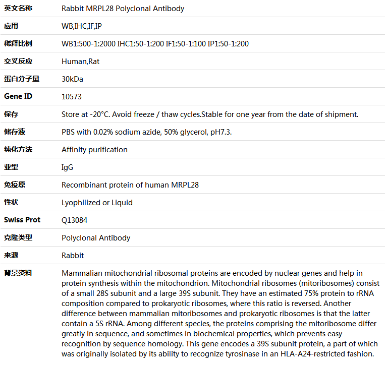 MRPL28 Antibody,索莱宝,K004292P-100ul