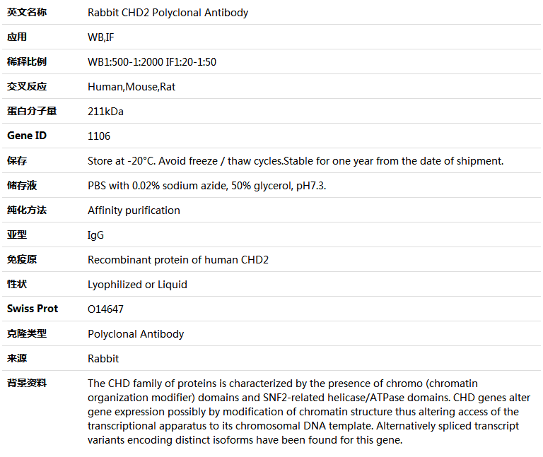 CHD2 Antibody,索莱宝,K004291P-50ul