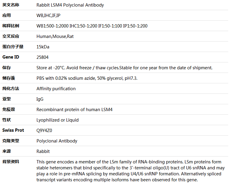 LSM4 Antibody,索莱宝,K004288P-50ul