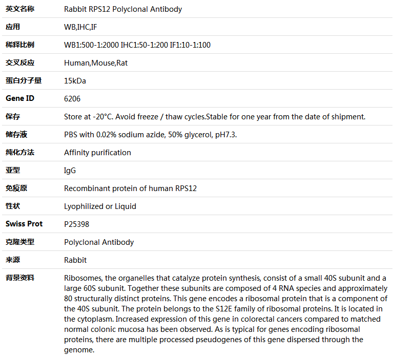 RPS12 Antibody,索莱宝,K004287P-50ul