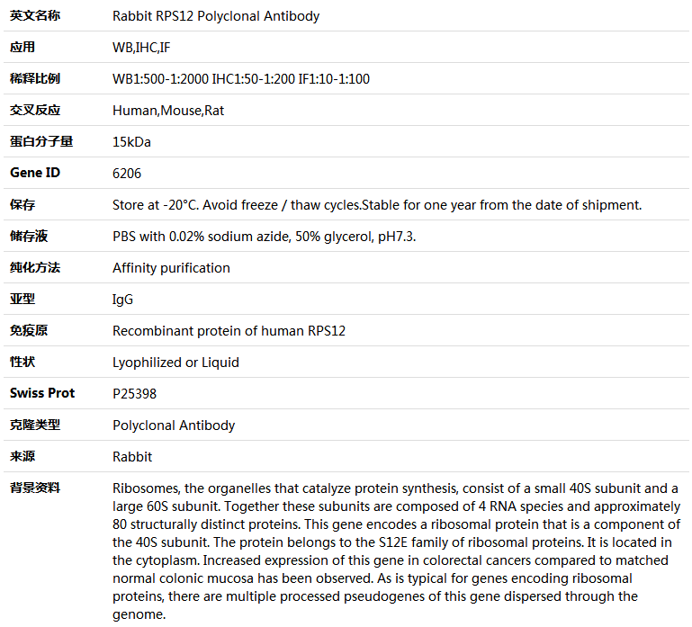 RPS12 Antibody,索莱宝,K004287P-100ul