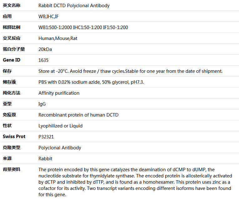 DCTD Antibody,索莱宝,K004286P-50ul