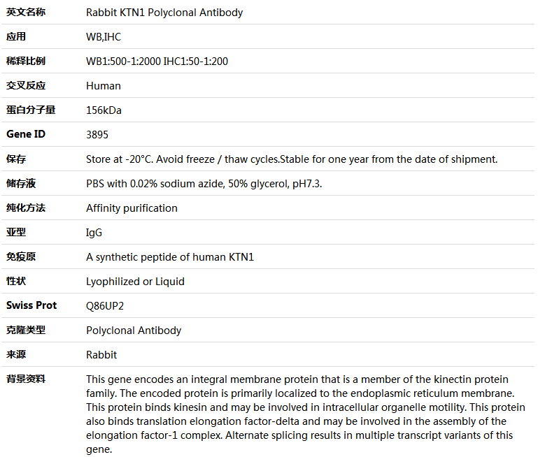 KTN1 Antibody,索莱宝,K004277P-50ul