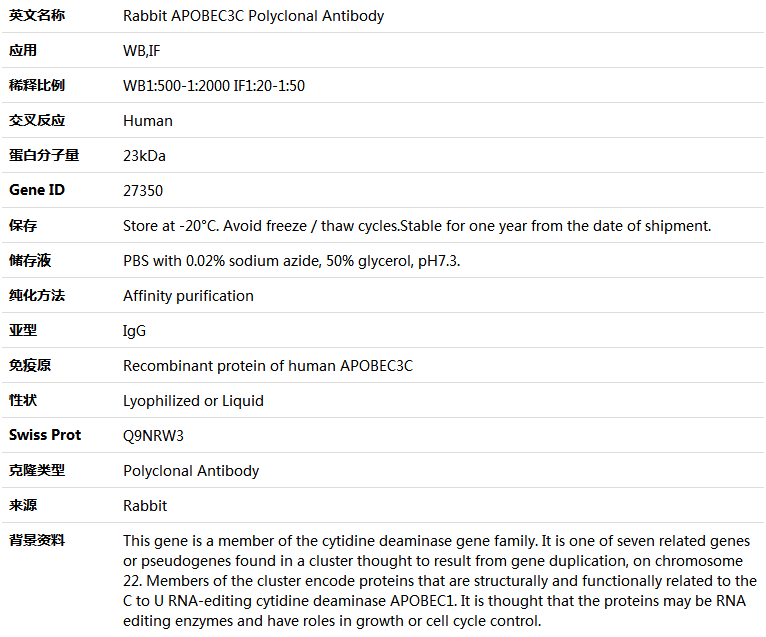 APOBEC3C Antibody,索莱宝,K004276P-50ul