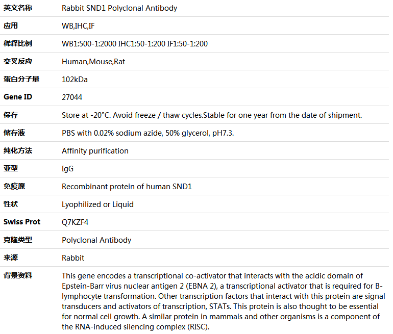 SND1 Antibody,索莱宝,K004273P-50ul