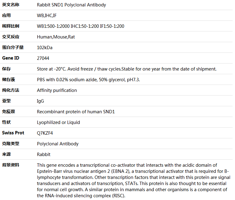 SND1 Antibody,索莱宝,K004273P-30ul