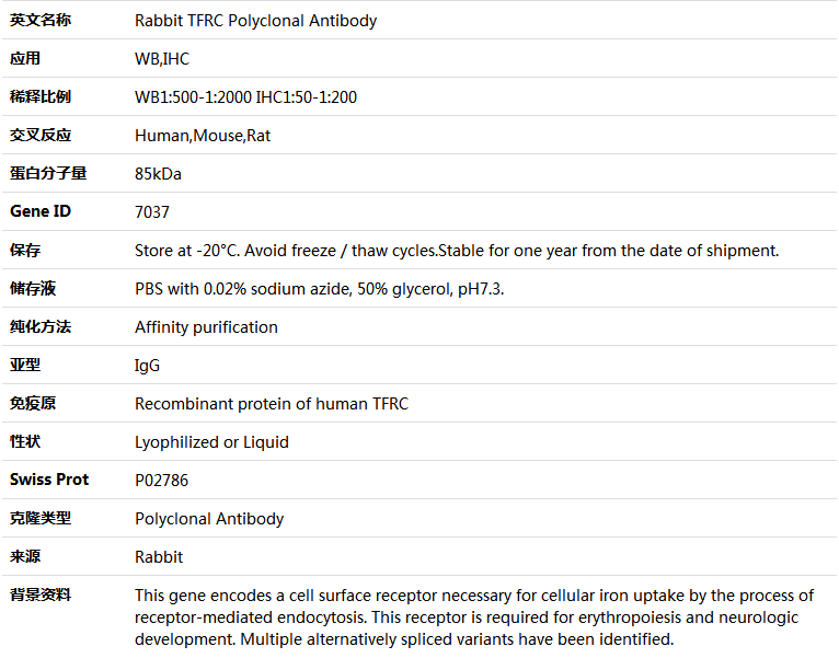 TFRC Antibody,索莱宝,K004269P-50ul