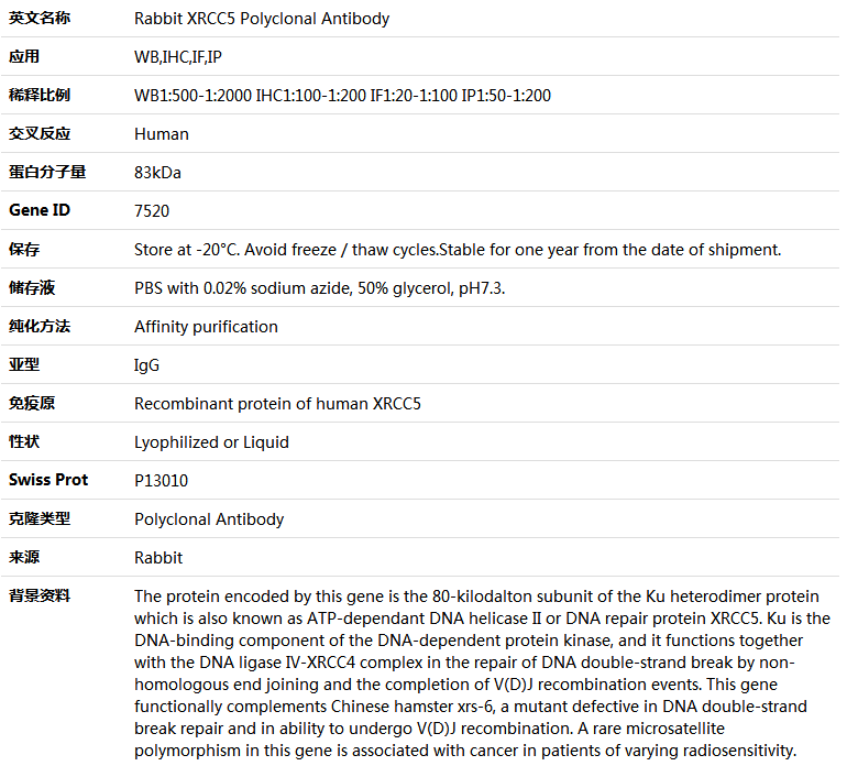 XRCC5 Antibody,索莱宝,K004266P-100ul