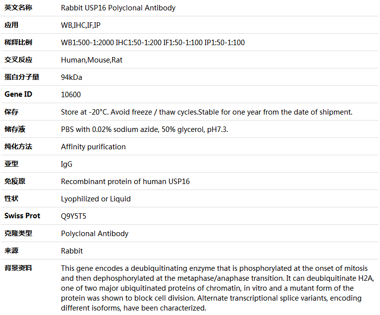 USP16 Antibody,索莱宝,K004265P-100ul