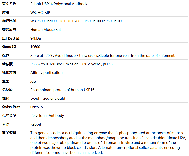 USP16 Antibody,索莱宝,K004265P-50ul